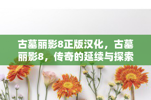 古墓丽影8正版汉化，古墓丽影8，传奇的延续与探索