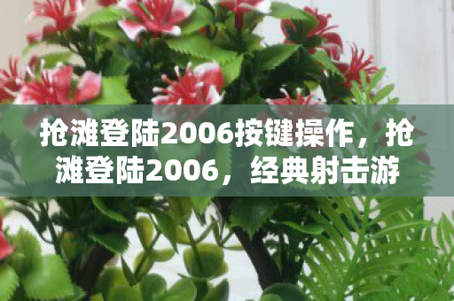 抢滩登陆2006按键操作，抢滩登陆2006，经典射击游戏的回忆与传承