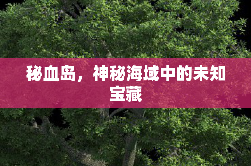 秘血岛，神秘海域中的未知宝藏