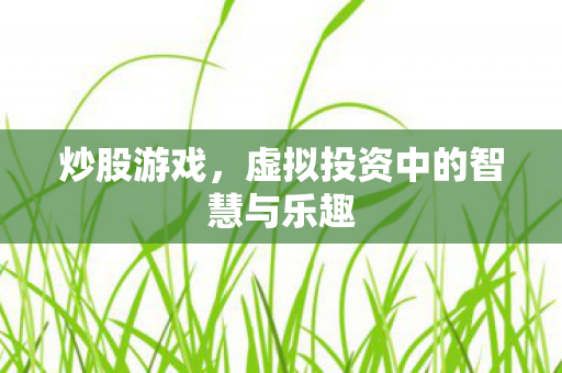 炒股游戏，虚拟投资中的智慧与乐趣