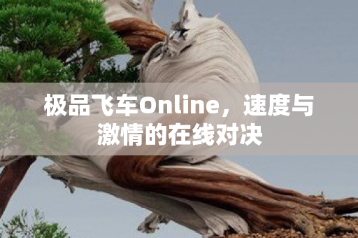 极品飞车Online，速度与激情的在线对决