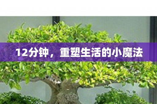 12分钟，重塑生活的小魔法