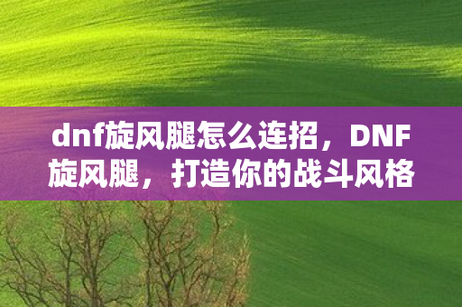 dnf旋风腿怎么连招图片
