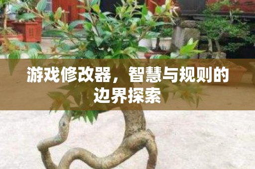 游戏修改器，智慧与规则的边界探索