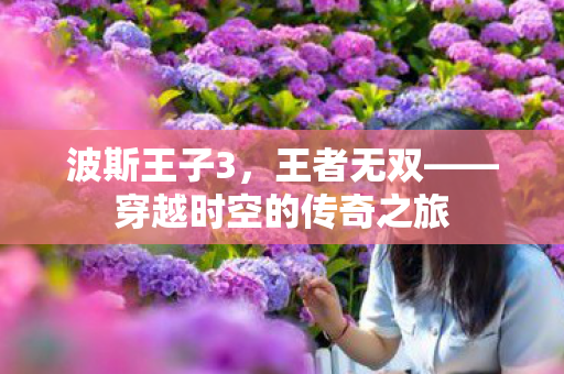 波斯王子3，王者无双——穿越时空的传奇之旅