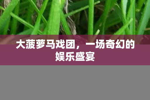 大菠萝马戏团，一场奇幻的娱乐盛宴