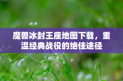 魔兽冰封王座地图下载，重温经典战役的绝佳途径