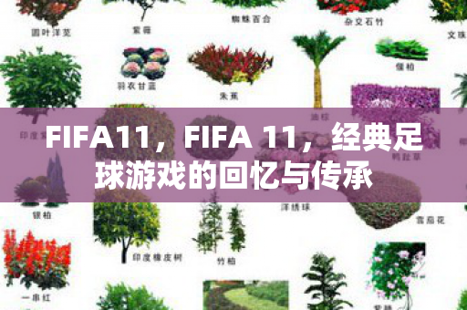 FIFA11，FIFA 11，经典足球游戏的回忆与传承