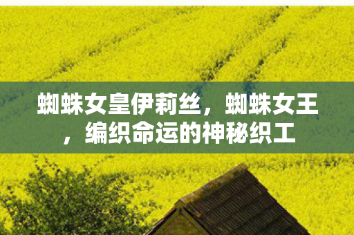 蜘蛛女皇伊莉丝，蜘蛛女王，编织命运的神秘织工