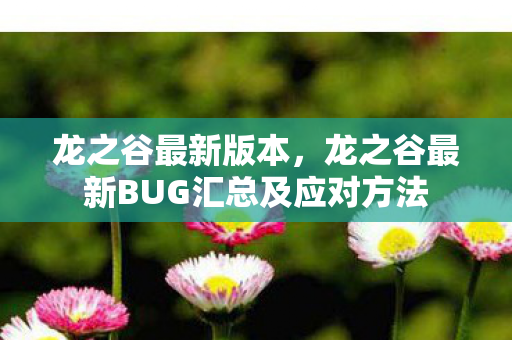 龙之谷最新BUG汇总及应对方法图片