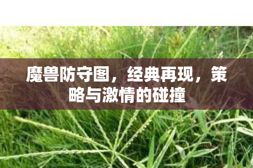 魔兽防守图，经典再现，策略与激情的碰撞