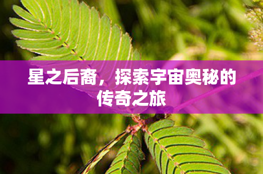 星之后裔，探索宇宙奥秘的传奇之旅