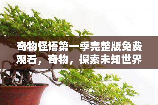 奇物怪语第一季完整版免费观看,奇物,探索未知世界的神秘宝藏 奇物怪语第一季完整版免费观看,奇物,探索未知世界的神秘宝藏