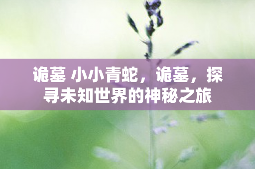 诡墓 小小青蛇，诡墓，探寻未知世界的神秘之旅
