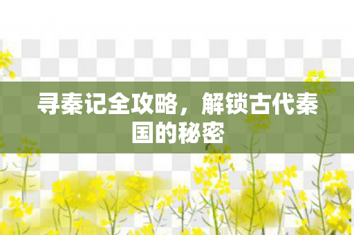 寻秦记全攻略，解锁古代秦国的秘密