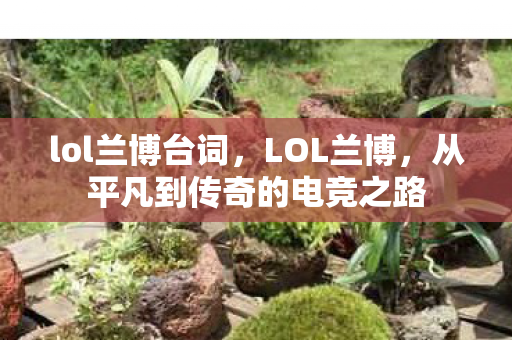 lol兰博台词，LOL兰博，从平凡到传奇的电竞之路