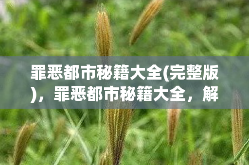 罪恶都市秘籍大全(完整版)，罪恶都市秘籍大全，解锁隐藏功能，玩转罪恶之城