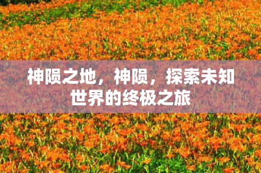 神陨之地，神陨，探索未知世界的终极之旅
