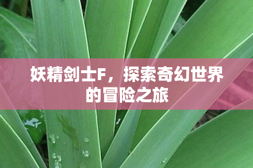 妖精剑士F，探索奇幻世界的冒险之旅