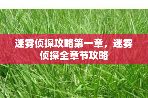 迷雾侦探攻略第一章，迷雾侦探全章节攻略