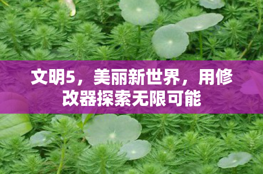 文明5，美丽新世界，用修改器探索无限可能