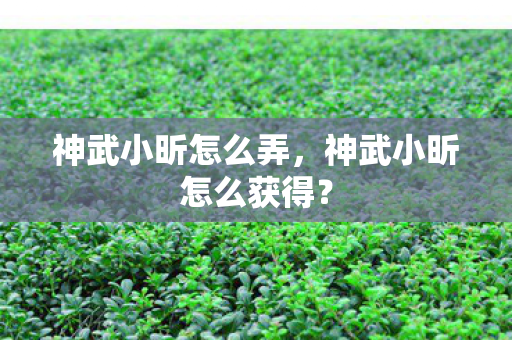 神武小昕怎么弄,神武小昕怎么获得? 神武小昕怎么弄,神武小昕怎么获得?