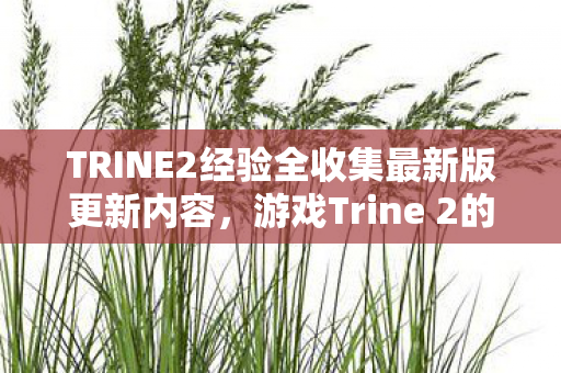 TRINE2经验全收集最新版更新内容，游戏Trine 2的奇幻冒险，探索、合作与惊喜