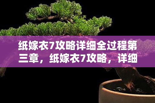 纸嫁衣7攻略详细全过程第三章，纸嫁衣7攻略，详细全过程揭秘