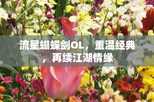 流星蝴蝶剑OL，重温经典，再续江湖情缘