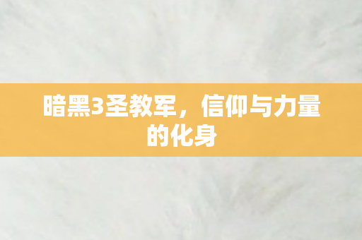 暗黑3圣教军，信仰与力量的化身