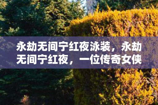 永劫无间宁红夜泳装，永劫无间宁红夜，一位传奇女侠的崛起