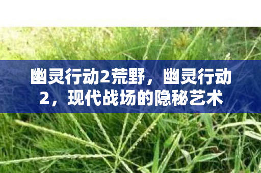 幽灵行动2荒野,幽灵行动2,现代战场的隐秘艺术 幽灵行动2荒野,幽灵行动2,现代战场的隐秘艺术