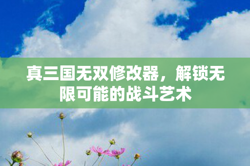 真三国无双修改器，解锁无限可能的战斗艺术