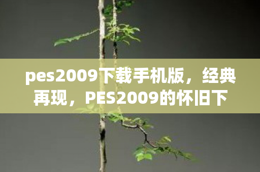 pes2009下载手机版，经典再现，PES2009的怀旧下载之旅