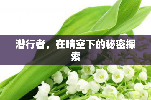 潜行者，在晴空下的秘密探索