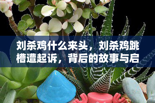 刘杀鸡什么来头，刘杀鸡跳槽遭起诉，背后的故事与启示