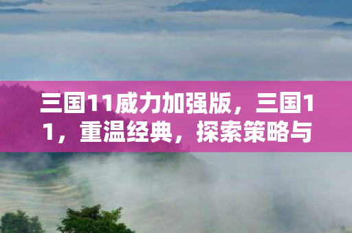 三国11威力加强版，三国11，重温经典，探索策略与智慧的深度碰撞