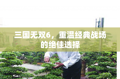 三国无双6，重温经典战场的绝佳选择