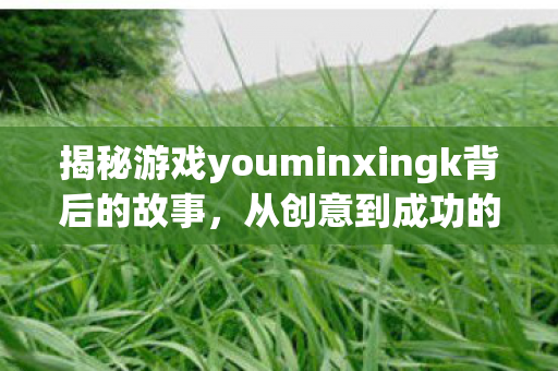 揭秘游戏youminxingk背后的故事，从创意到成功的旅程