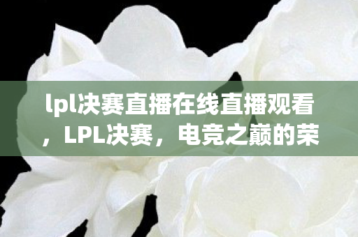 lpl决赛直播在线直播观看，LPL决赛，电竞之巅的荣耀之战