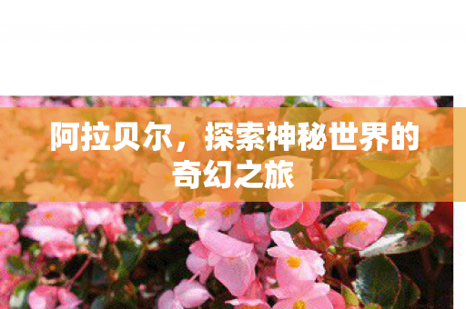 阿拉贝尔,探索神秘世界的奇幻之旅 阿拉贝尔,探索神秘世界的奇幻之旅