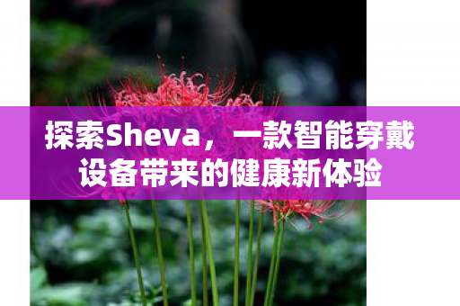 探索Sheva，一款智能穿戴设备带来的健康新体验