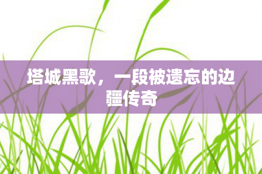 塔城黑歌，一段被遗忘的边疆传奇