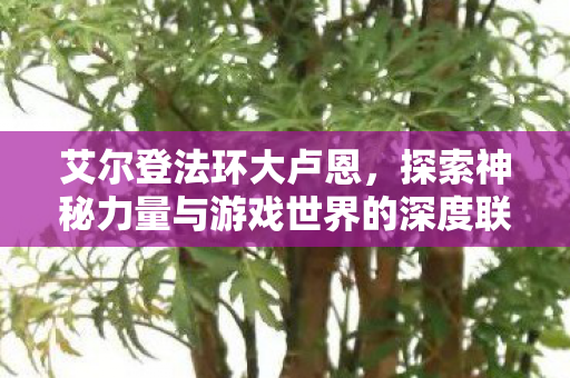 艾尔登法环大卢恩，探索神秘力量与游戏世界的深度联系