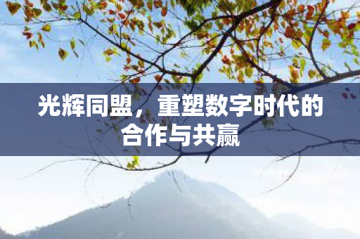 光辉同盟，重塑数字时代的合作与共赢