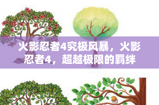 火影忍者4究极风暴，火影忍者4，超越极限的羁绊