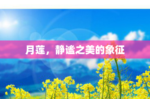 月莲，静谧之美的象征