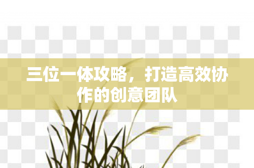 三位一体攻略，打造高效协作的创意团队