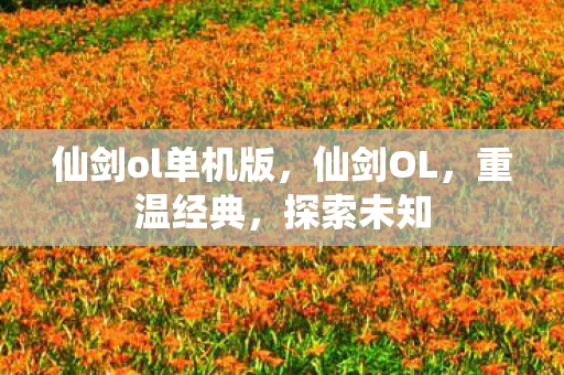 仙剑ol单机版，仙剑OL，重温经典，探索未知