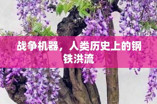 战争机器，人类历史上的钢铁洪流